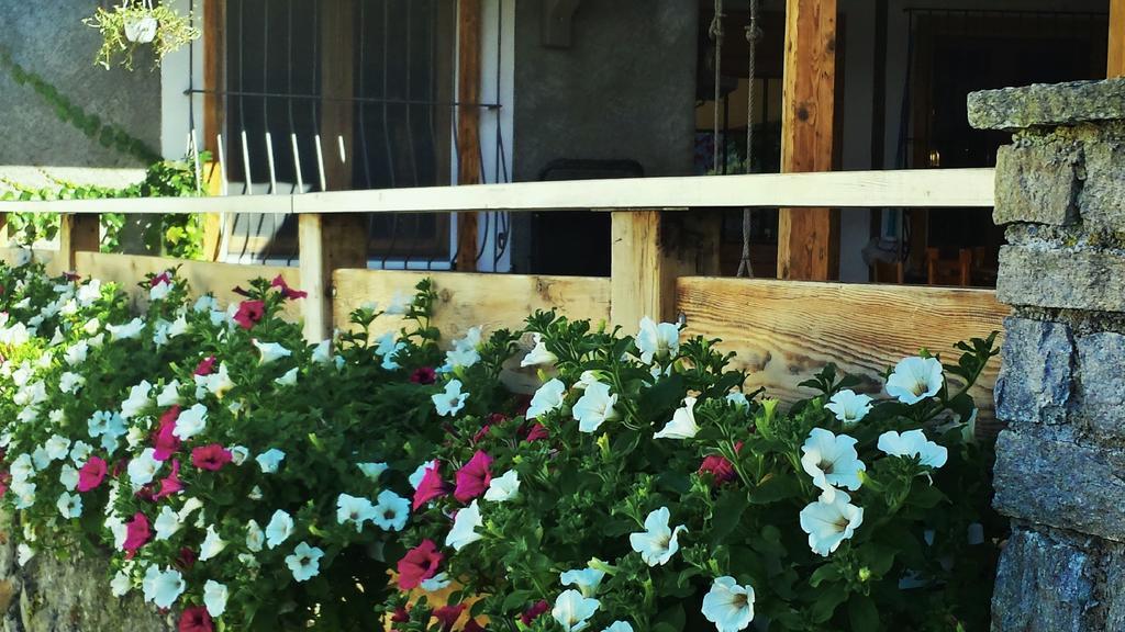 Appartamento Le Chalet Albosaggia Dış mekan fotoğraf